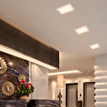 Square LED Downlight RL-2105SD-BK-for living3