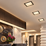 Black Square LED Downlight RL-2105SD-BK-for living 2