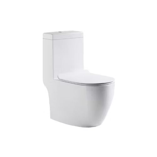 Toilet Bowl Baron W818 Floor Mounted S Trap & P Trap