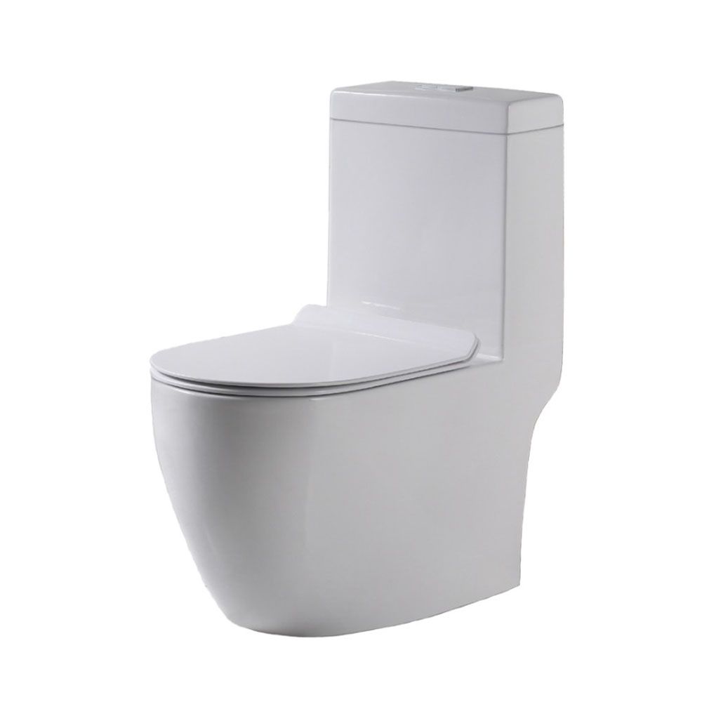 Toilet Bowl Baron W898 Floor Mounted S Trap & P Trap