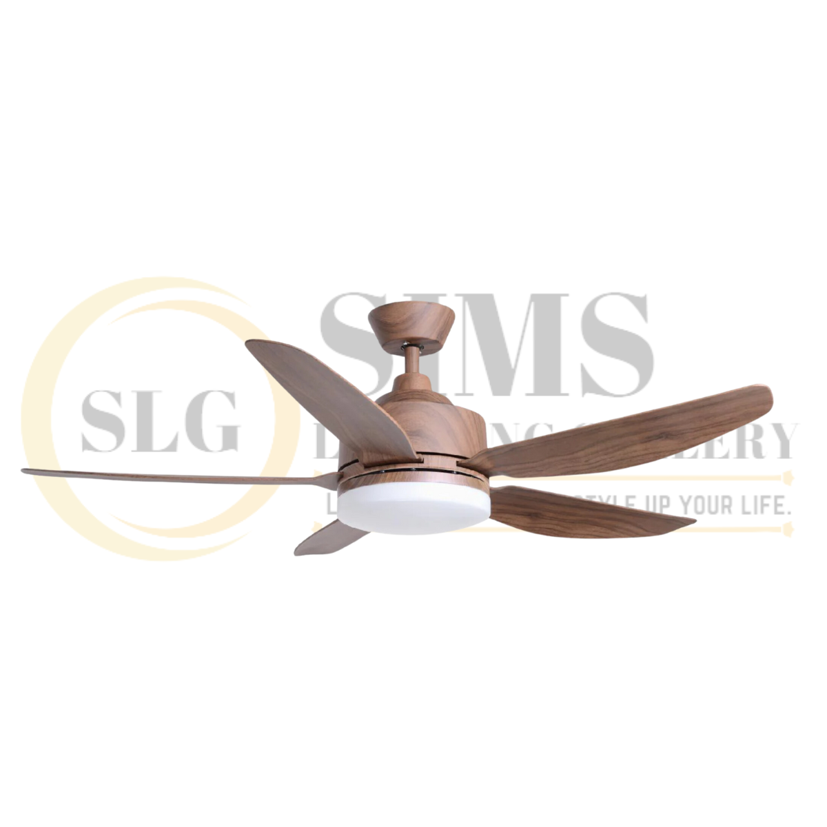 Airis+ 5B WALNUT WOOD.png