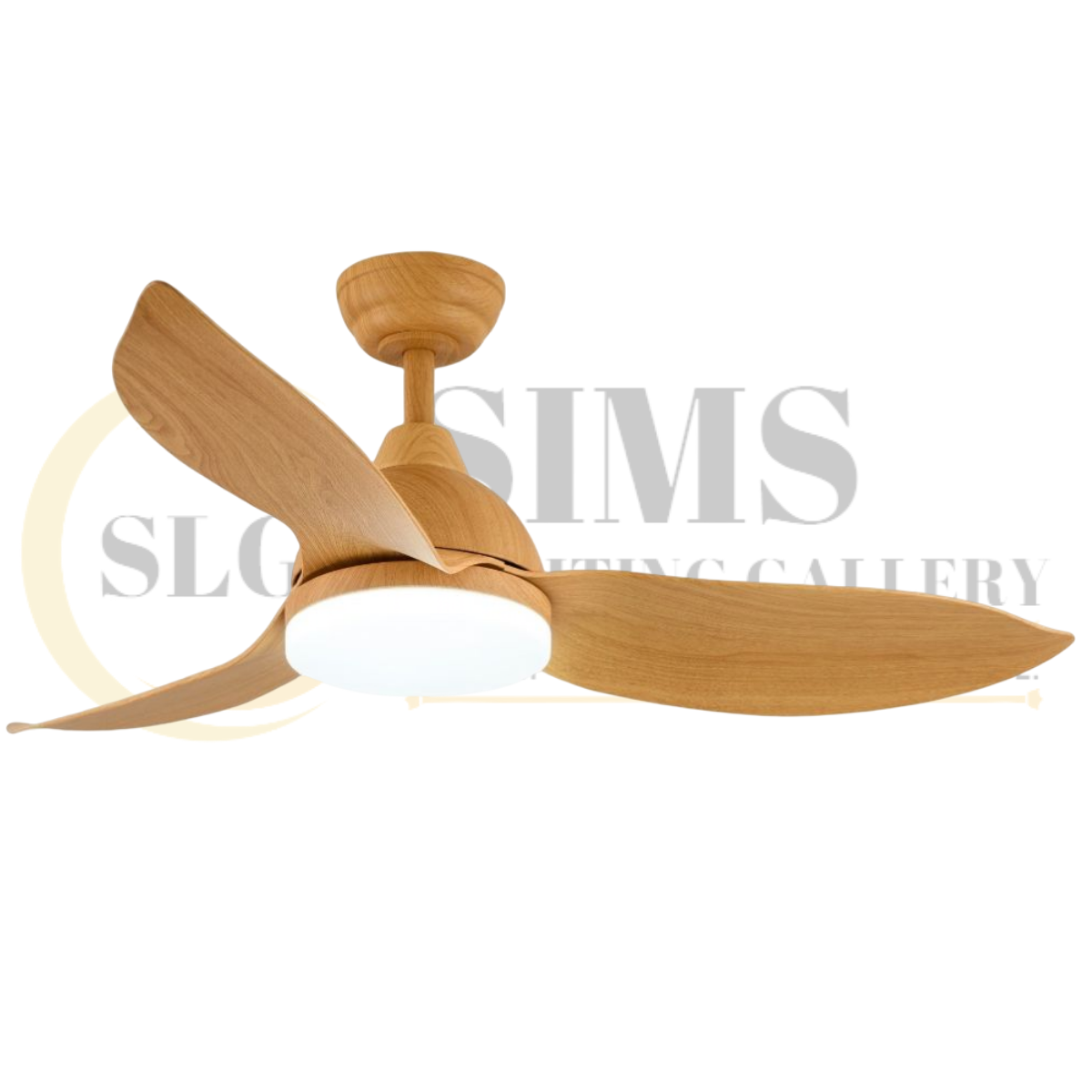 RAPTOR POSTER 1 (2).png